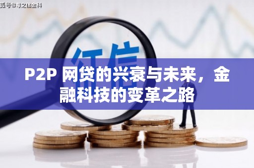 高唐P2P 网贷的兴衰与未来，金融科技的变革之路