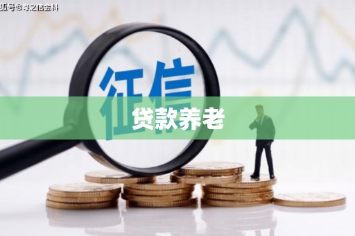 高唐贷款养老