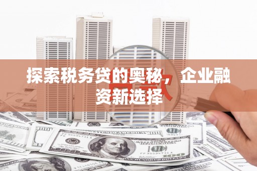 高唐探索税务贷的奥秘，企业融资新选择