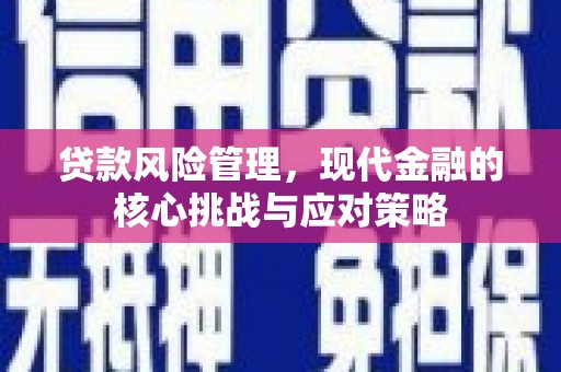 高唐贷款风险管理，现代金融的核心挑战与应对策略