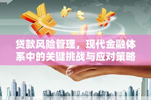高唐贷款风险管理，现代金融体系中的关键挑战与应对策略