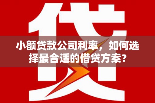 高唐小额贷款公司利率，如何选择最合适的借贷方案？