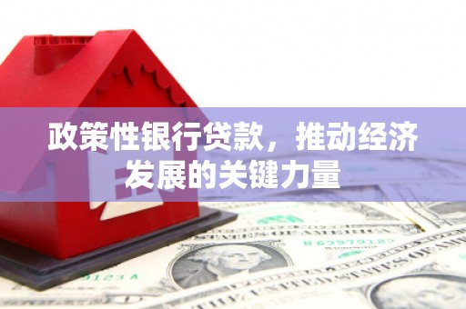 高唐政策性银行贷款，推动经济发展的关键力量