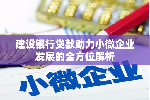 高唐建设银行贷款助力小微企业发展的全方位解析