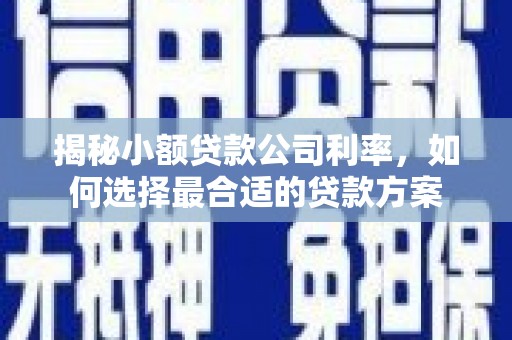 高唐揭秘小额贷款公司利率，如何选择最合适的贷款方案