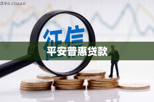 高唐平安普惠贷款