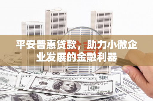 高唐平安普惠贷款，助力小微企业发展的金融利器