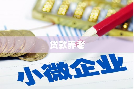 高唐贷款养老