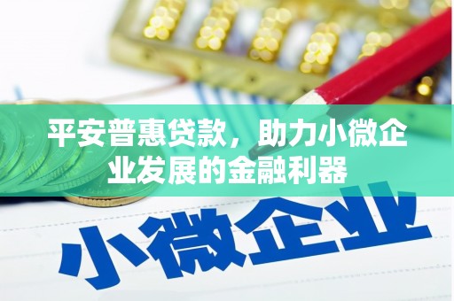 高唐平安普惠贷款，助力小微企业发展的金融利器